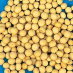  вид овощи ..mame журавль. . большой бобы 1 пакет (20ml)