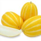 種 野菜たね マクワウリ F1金シャリ 1袋（1ml） やさ