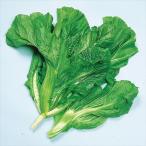  страна .. вид овощи ... вид Kiyoshi страна синий .(........) 1 пакет (10ml).... вид 