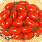  вид овощи .. мини помидоры F1 Aiko 1 пакет (10 шарик ).... вид страна ..