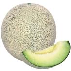 種 野菜たね メロン F1グリーンネットメロン 1袋（1ml） やさいの種 国華園