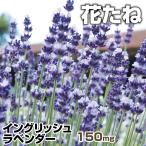 ラベンダー 種 たね イングリッシュラベンダー 1袋 150mg ハーブの種 花たね