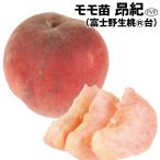 ショッピング桃 モモ 昂紀PVP （富士野生桃R台） 1株 果樹苗 国華園