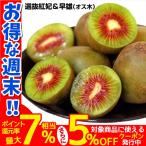 キウイ 苗木 選抜紅妃&早雄(紅芯用オス木) 2種2株 果樹苗 国華園