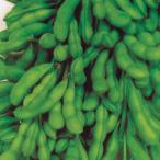 種 野菜たね エダマメ あじまつり 1�