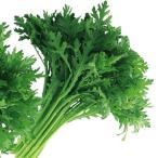種 野菜たね 健康野菜 スティック春菊 1袋（15ml） し