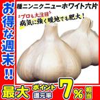 ニンニク 種球 ニューホワイト六片 500g / にんにくの種 ガーリック 家庭菜園 暖地向きニンニク 高級ニンニク ホワイト 育てやすい 簡単 病気に強い 国華園