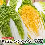種 野菜たね ハクサイ F1オレンジクイン 1袋(コート種子 100粒) 白菜 野菜の種 国華園