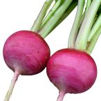 種 野菜たね カブ F1もものすけ 1袋(1ml) 蕪 野菜の種 国華園