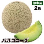 商品画像3