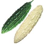 接木野菜苗ゴーヤ願寿苦瓜セット2種4株