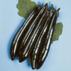  реальный сырой овощи рассада большой длина nasF1. магазин большой длина 4 АО .. собственный корень рассада ....... страна ..