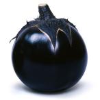 接木野菜苗大丸ナス接木賀茂ナス2株...