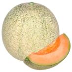 接木野菜苗 メロン 接�