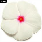  вид цветок .. ежедневно . Polka точка 1 пакет (20 шарик )