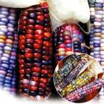  вид цветок .. владелец men taru кукуруза стакан jem кукуруза select 1 пакет (30 шарик )