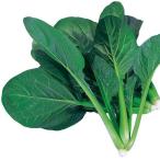 国華園 種 野菜たね 小松菜 F1サラダ小松菜 1袋（10ml