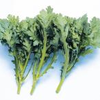 国華園 種 野菜たね 春菊 なべ奉行 1袋（20ml） しゅ