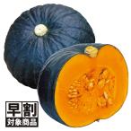 ( скорейший предварительный заказ распродажа ..) вид овощи .. тыква F1 высшее . тыква 1 пакет (10 шарик ).... скидка за ранний заказ /26 год весна отправка [ стоимость доставки группа :R50T9]