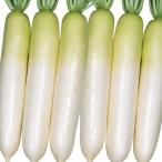  вид овощи .. дайкон F1 весна .1 пакет (5ml) дайкон .... вид страна ..