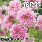 コスモス 種 たね ダブルクリック ローズボンボン 1袋(100mg) 秋桜 花たね