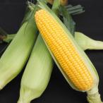  вид овощи .. кукуруза F1 высшее . сырой ... кукуруза 1 пакет (30ml) кукуруза .... вид страна ..