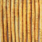  вид овощи .. лопух .... белый . gobou 1 пакет (8ml)