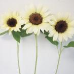  вид цветок ..hi вокруг F1 Pro cut белый Night 1 пакет (20 шарик )