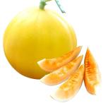 接木野菜苗 メロン 接�