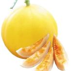 種 野菜たね メロン F1�