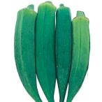 国華園 種 野菜たね 秋どり野菜 オクラ  1袋（10ml） やさいの種
