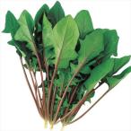  вид овощи .. howe объединенный F1 красный стебель шпинат 1 пакет (20ml) закон лотос . шпинат .... вид страна ..