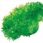  вид овощи .. lettuce verute оборка 1 пакет ( пальто семена 80 шарик ).... вид страна ..