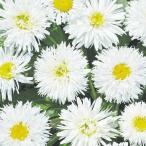  вид цветок .. автомобиль Star te-ji-k Lazy Дэйзи 1 пакет (100mg)