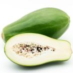 果樹苗パパイヤダイナミックゴールド1株