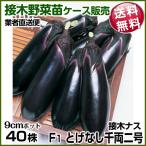 野菜苗ケース販売ナス接木F1とげな...