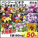 種 花たね 大特価 パンジー・ビオラごちゃまぜミックス 1袋(60mg)