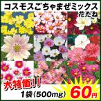 ショッピング花 種 花たね コスモスごちゃまぜミックス 1袋(500mg)