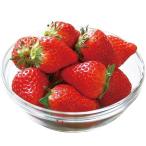  клубника рассада .... .5 АО / огород клубника рассада . рассада клубника. рассада клубника. рассада супер-скидка собственный . собственный пара прекрасный тест .. простой культивирование низкий стоимость дешевый . растения 