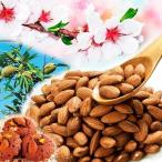 アーモンド ホルスハーディ 1株 果樹苗 国華園