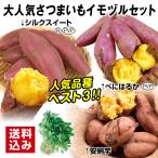 イモヅル 芋づる 大人気さつまいもイモヅルセット 3種30本(各10本) 送料込み / さつまいもの苗 サツマイモの苗 家庭菜園 べにはるか シルクスイート 安納芋