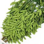  вид овощи ..edamame мелкие сколы от камней ..PVP 1 пакет (25ml) ветка бобы .... вид страна ..