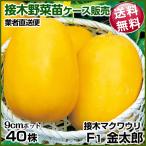 商品画像2