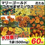 種 花たね マリーゴールドごちゃまぜミックス 1袋 500mg 