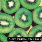 キウイ ノースエメラルド＆トムリ(