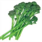  вид овощи .. брокколи F1 палочка senyo-ru1 пакет (65 шарик ) цветок ...... вид страна ..