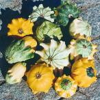  вид цветок .... для тыква Crown Mix 1 пакет (20 шарик )