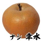 ナシ 苗木 幸水 1株 果樹苗 国華園