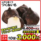 山いも種芋 つくねいも 10個 送料無料 [期間限定特価]