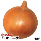 種 野菜たね タマネギ （中生）F1オー